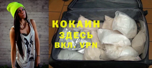 соль ск Алексин