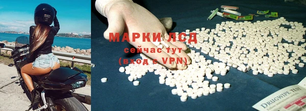 трава Армянск