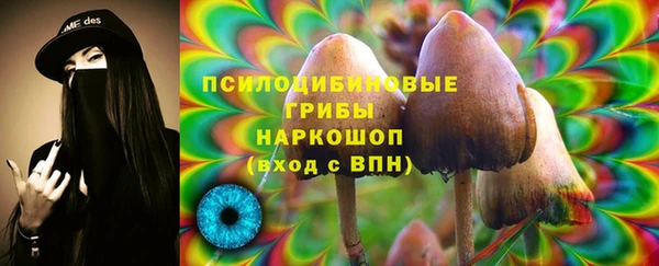 соль ск Алексин