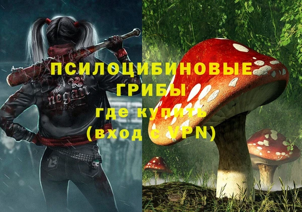 соль ск Алексин