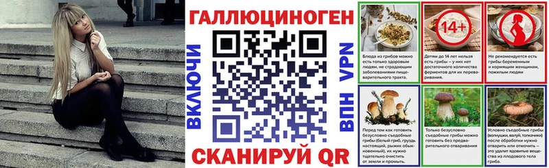 Псилоцибиновые грибы мицелий  Удачный 